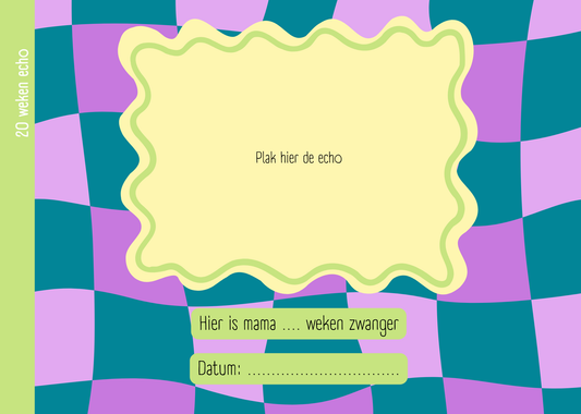 Zwangerschapsboek - Smiley / Blokjes