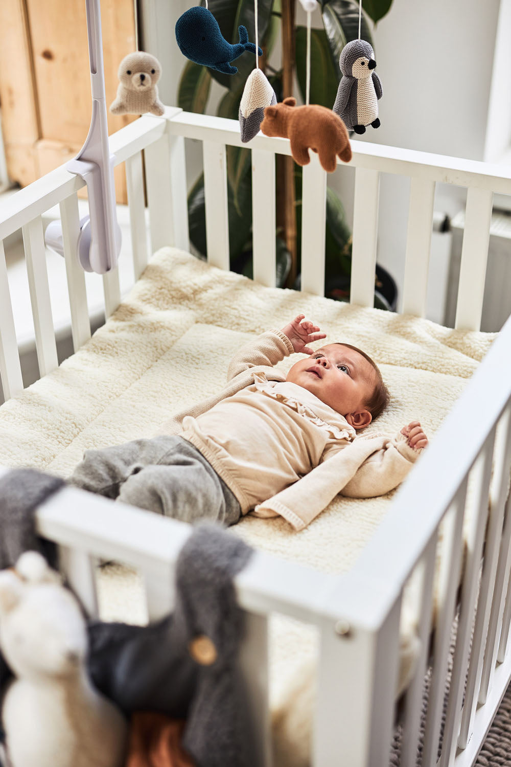 Voor in en rondom de box