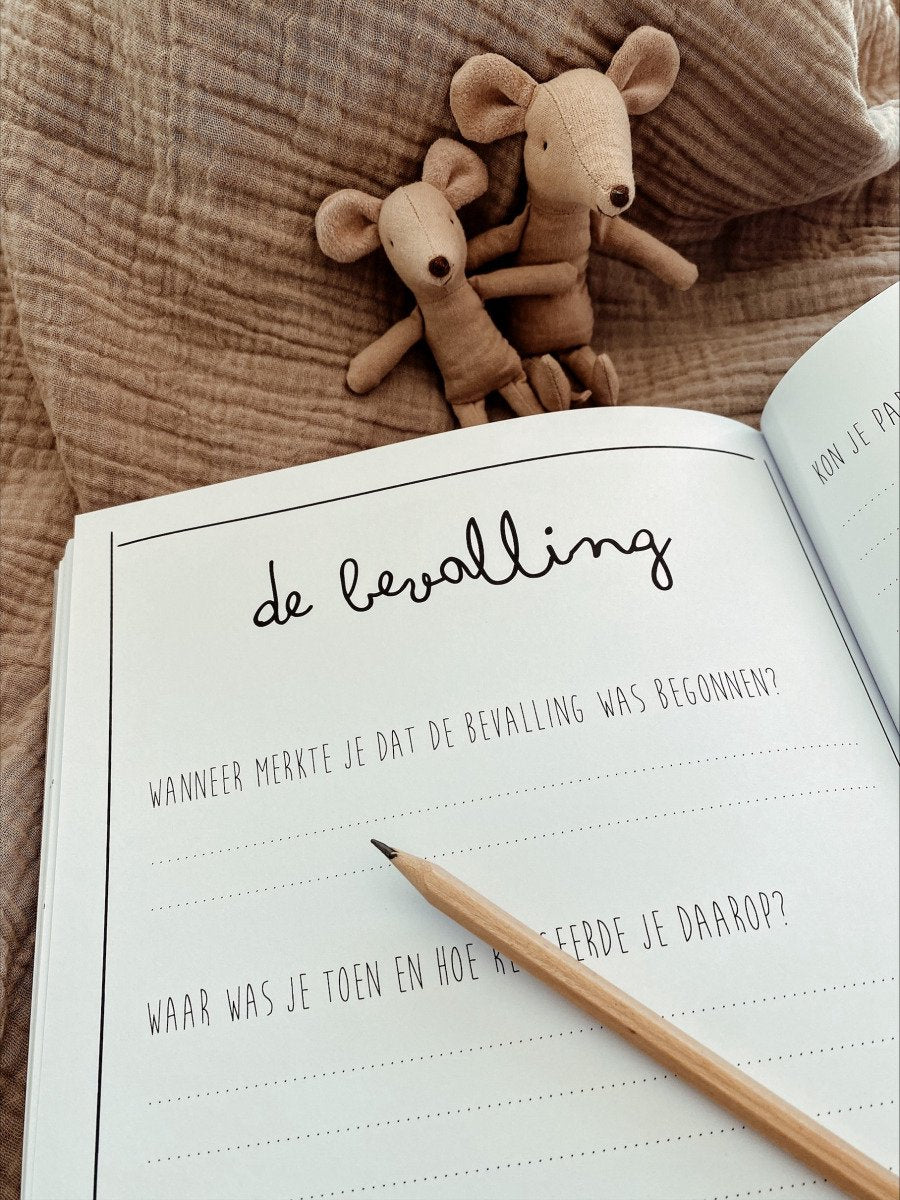 Invulboeken en bewaarbundels