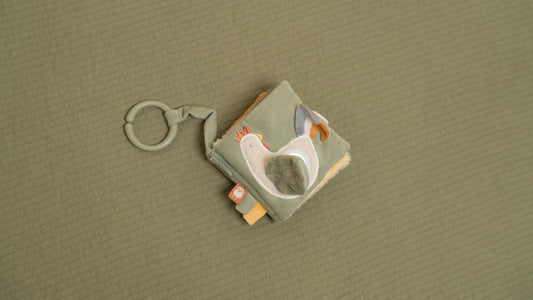 Buggyboekje - Little Farm