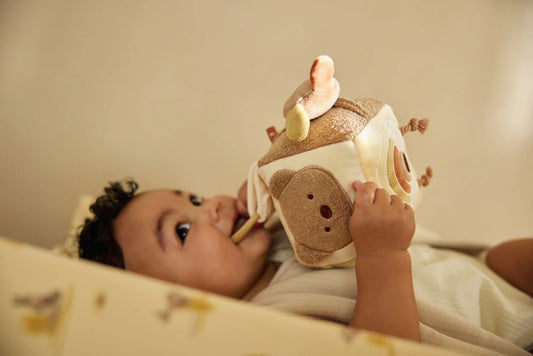 Activiteitenkubus - Kangaroo