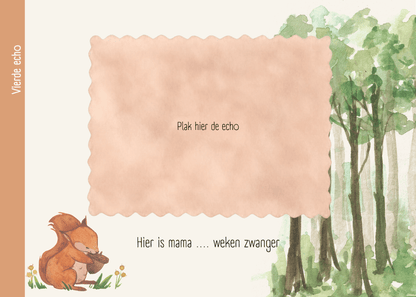 Echoboekje - Bosvrienden