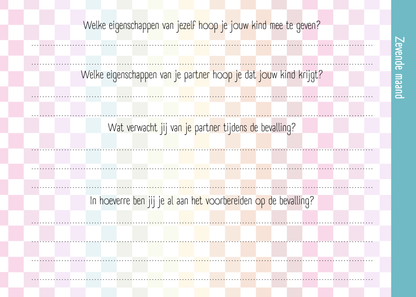 Zwangerschapsboek - Smiley / Blokjes