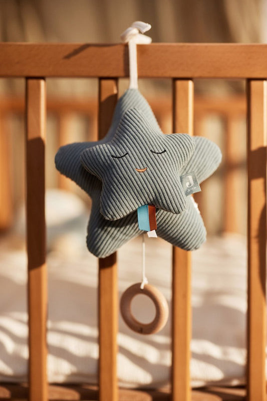 Muziekhanger - Ster - Sea green