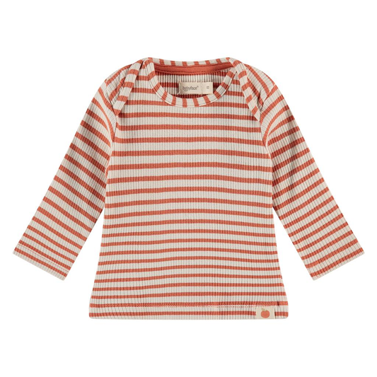 Baby longsleeve gestreept - Terra