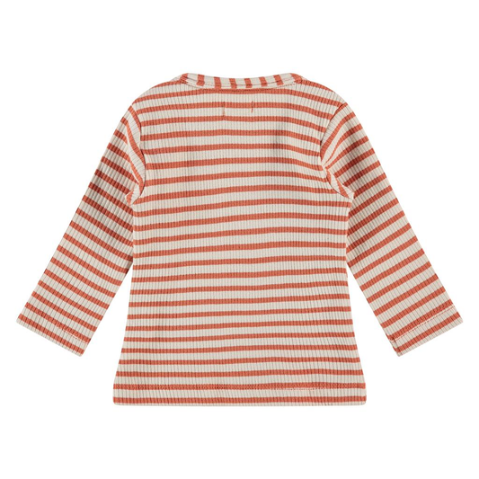 Baby longsleeve gestreept - Terra