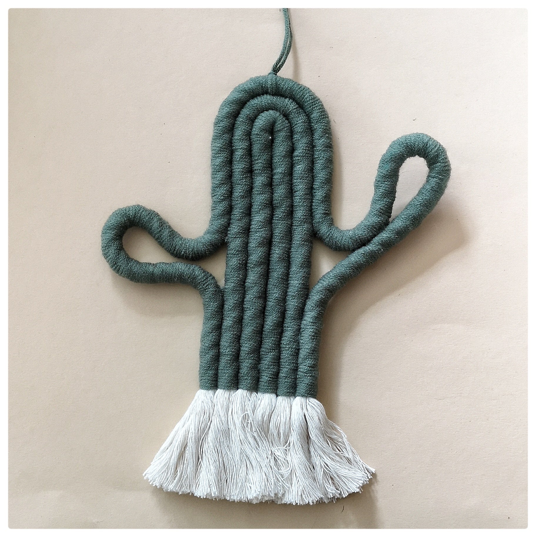 Macrame hanger Cactus