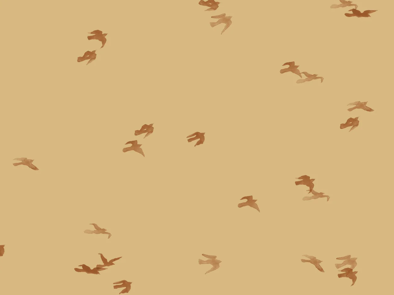 Matrashoes voor verschoonmand - Birds