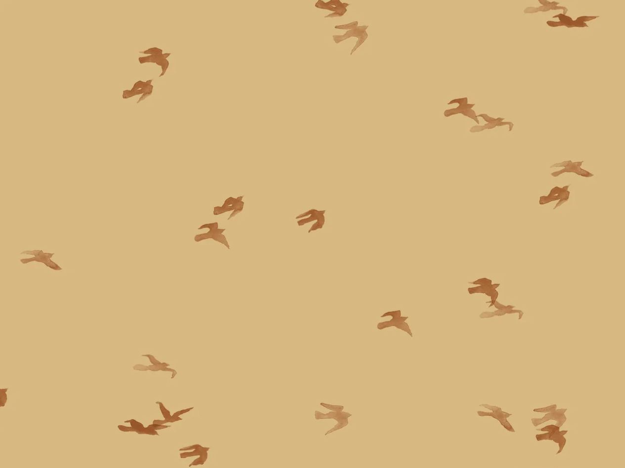 Hoeslaken ledikant 60x120