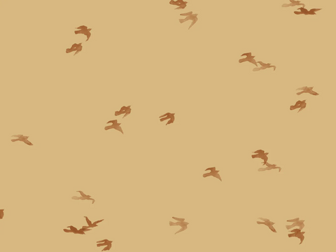 Matrashoes voor verschoonmand - Birds